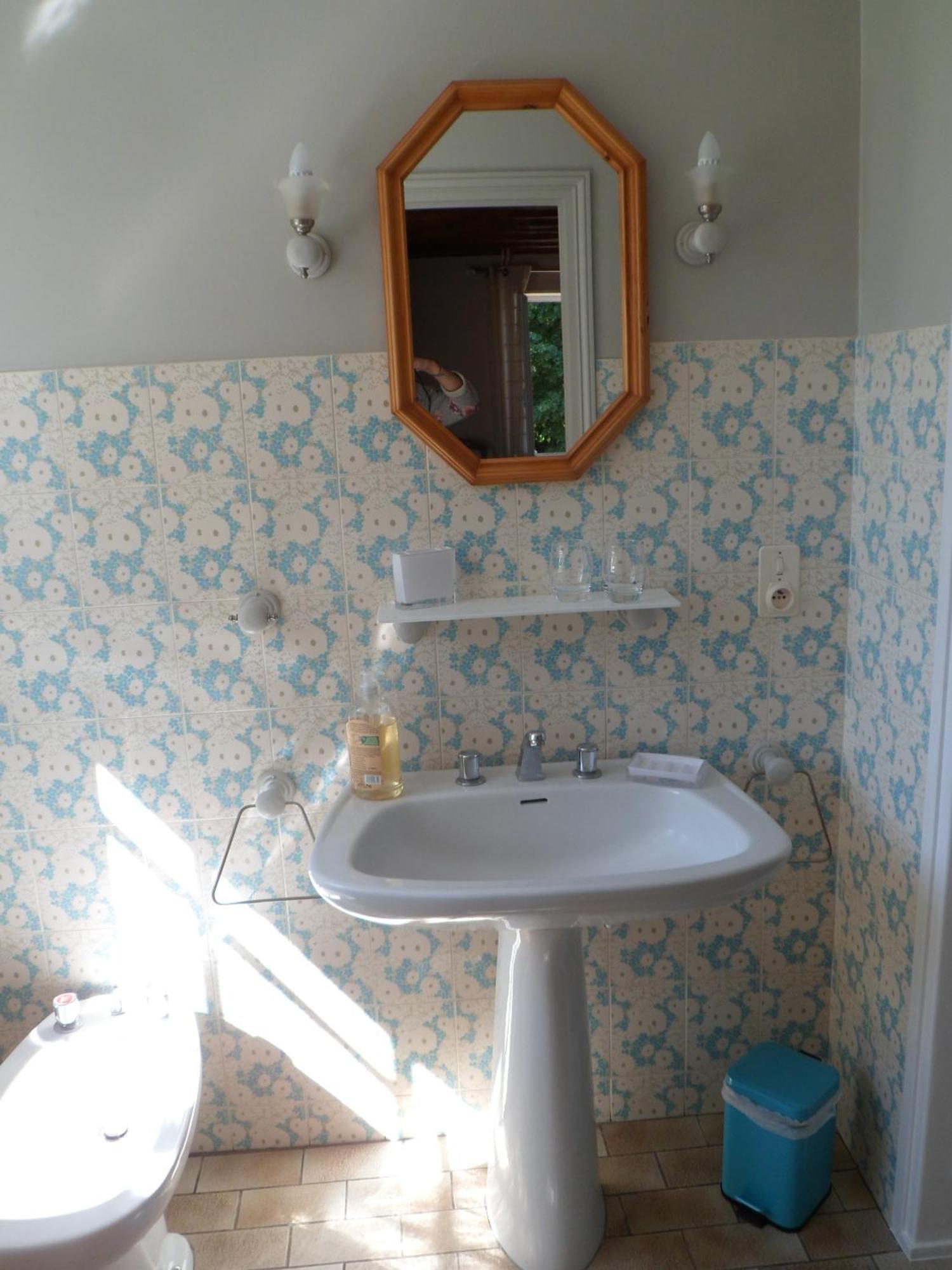 ホテル Domaine De La Helliere Lailly-en-Val 部屋 写真